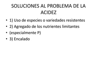 SOLUCIONES AL PROBLEMA DE LA
ACIDEZ
• 1) Uso de especies o variedades resistentes
• 2) Agregado de los nutrientes limitantes
• (especialmente P)
• 3) Encalado
 