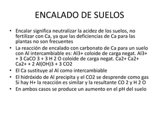 ENCALADO DE SUELOS
• Encalar significa neutralizar la acidez de los suelos, no
fertilizar con Ca, ya que las deficiencias de Ca para las
plantas no son frecuentes
• La reacción de encalado con carbonato de Ca para un suelo
con Al intercambiable es: Al3+ coloide de carga negat. Al3+
+ 3 CaCO 3 + 3 H 2 O coloide de carga negat. Ca2+ Ca2+
Ca2+ + 2 Al(OH)3 + 3 CO2
• El Ca sustituye al Al como intercambiable
• El hidróxido de Al precipita y el CO2 se desprende como gas
Si hay H+ la reacción es similar y la resultante CO 2 y H 2 O
• En ambos casos se produce un aumento en el pH del suelo
 