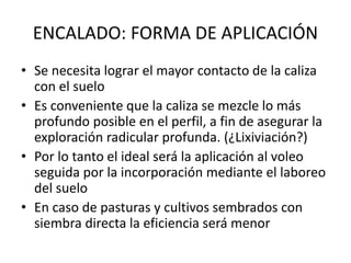 ENCALADO: FORMA DE APLICACIÓN
• Se necesita lograr el mayor contacto de la caliza
con el suelo
• Es conveniente que la caliza se mezcle lo más
profundo posible en el perfil, a fin de asegurar la
exploración radicular profunda. (¿Lixiviación?)
• Por lo tanto el ideal será la aplicación al voleo
seguida por la incorporación mediante el laboreo
del suelo
• En caso de pasturas y cultivos sembrados con
siembra directa la eficiencia será menor
 