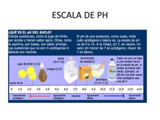 ESCALA DE PH
 