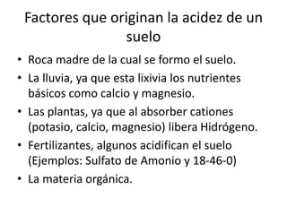 Factores que originan la acidez de un
suelo
• Roca madre de la cual se formo el suelo.
• La lluvia, ya que esta lixivia los nutrientes
básicos como calcio y magnesio.
• Las plantas, ya que al absorber cationes
(potasio, calcio, magnesio) libera Hidrógeno.
• Fertilizantes, algunos acidifican el suelo
(Ejemplos: Sulfato de Amonio y 18-46-0)
• La materia orgánica.
 