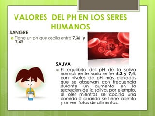 VALORES DEL PH EN LOS SERES
HUMANOS

SANGRE


Tiene un ph que oscila entre 7,36 y
7,42

SALIVA
 El equilibrio del pH de la saliva
normalmente varía entre 6,2 y 7,4,
con niveles de pH más elevados
que se observan con frecuencia
durante un aumento en la
secreción de la saliva, por ejemplo,
al oler mientras se cocina una
comida o cuando se tiene apetito
y se ven fotos de alimentos.

 