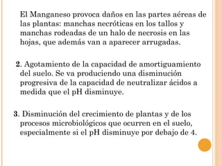 El Manganeso provoca daños en las partes aéreas de
 las plantas: manchas necróticas en los tallos y
 manchas rodeadas de un halo de necrosis en las
 hojas, que además van a aparecer arrugadas.

2. Agotamiento de la capacidad de amortiguamiento
 del suelo. Se va produciendo una disminución
 progresiva de la capacidad de neutralizar ácidos a
 medida que el pH disminuye.

3. Disminución del crecimiento de plantas y de los
  procesos microbiológicos que ocurren en el suelo,
  especialmente si el pH disminuye por debajo de 4.
 