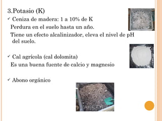 3.Potasio (K)
    Ceniza de madera: 1 a 10% de K
    Perdura en el suelo hasta un año.
    Tiene un efecto alcalinizador, eleva el nivel de pH
     del suelo.

   Cal agrícola (cal dolomita)
    Es una buena fuente de calcio y magnesio

   Abono orgánico
 