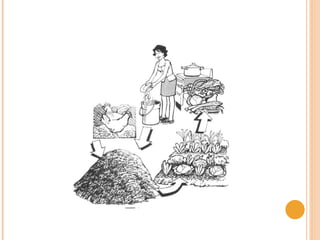 El p h_y_sus_implicaciones_en_el_suelo