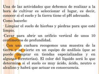 Una de las actividades que debemos de realizar a la
hora de cultivar es seleccionar el lugar, es decir,
conocer si el suelo y la tierra tiene el pH adecuado.
Como hacerlo:
• Limpiar el suelo de hierbas y piedras para que esté
limpio.
•Cavar para abrir un orificio vertical de unos 10
centímetros de profundidad.
• Con una cuchara recogemos una muestra de la
tierra y se vierte en un equipo de análisis (que se
puede comprar en tiendas especializadas y en
algunas ferreterías). El color del líquido será lo que
determine si el suelo es muy ácido, ácido, neutro o
alcalino y habrá que actuar en consecuencia.
 