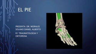 EL PIE
PRESENTA: DR. MORALES
SOLANO DANIEL ALBERTO
R1 TRAUMATOLOGIA Y
ORTOPEDIA
 
