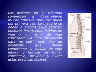  Las lesiones en la columna 
comienzan a desarrollarse 
mucho antes de que esta duela 
por primera vez. La mayoría se 
deben a efectos acumulativos: 
posturas incorrectas, hábitos de 
vida y un ritmo de vida 
estresante. La única prevención 
para no sufrir este tipo de 
dolencias, que puede 
condicionar la calidad de vida 
laboral y familiar, es tomar 
conciencia, prevenir y evitar 
estas prácticas nocivas. 
 