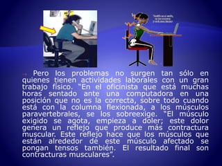  Pero los problemas no surgen tan sólo en 
quienes tienen actividades laborales con un gran 
trabajo físico. “En el oficinista que está muchas 
horas sentado ante una computadora en una 
posición que no es la correcta, sobre todo cuando 
está con la columna flexionada, a los músculos 
paravertebrales, se los sobreexige. “El músculo 
exigido se agota, empieza a doler; este dolor 
genera un reflejo que produce más contractura 
muscular. Este reflejo hace que los músculos que 
están alrededor de este músculo afectado se 
pongan tensos también. El resultado final son 
contracturas musculares”. 
 