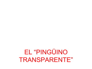 EL “PINGÜINO 
TRANSPARENTE” 
 
