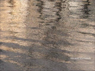 FIGURAS SOLITARIAS
 