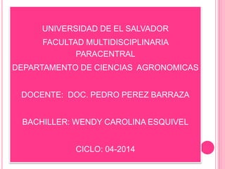 UNIVERSIDAD DE EL SALVADOR 
FACULTAD MULTIDISCIPLINARIA PARACENTRAL 
DEPARTAMENTO DE CIENCIAS AGRONOMICAS 
DOCENTE: DOC. PEDRO PEREZ BARRAZA 
BACHILLER: WENDY CAROLINA ESQUIVEL 
CICLO: 04-2014  