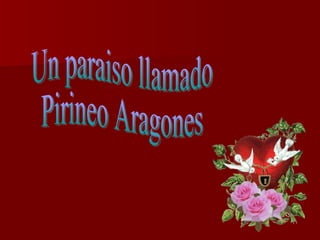 Un paraiso llamado Pirineo Aragones  