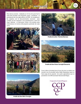 7
NODO DE RIEGO
Otra de las acciones realizadas en el mes de junio fue la
visita del consultor Juan Bugueño, quien coordinará la
postulación de cinco agricultores a la CNR. Se completaron
las carpetas con la documentación necesaria para
cumplir con los requisitos a las postulaciones a tema de
riego. Además, se efectuaron visitas a los predios para
interiorizarse en terreno del proyecto particular de cada
socio.
Como ultima actividad para el mes de junio se realizó una
reunión con el consultor señor Pablo Sepulveda, quien se
hará cargo de la asesoría de cuatro agricultores que se
postularan a la CNR (Comisión Nacional de Riego).
Predio de señor Patricio Barraza
Predio de Don Aliro Torrejón
Predio de Don Victor Carvajal Chavarria
 