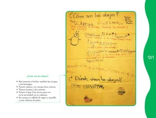 131 
¿Cómo son las abejas? 
• Son insectos o bichos, también las avispas 
y las hormigas. 
• Tienen cabeza y su cuerpo tiene cintura. 
• Tienen 6 patas y dos antenas 
• Tienen 5 ojos; 2 les sirven para ver 
en la oscuridad, en su colmena. 
• Su cuerpo es rallado de negro y amarillo 
y está cubierto de pelos. 
 