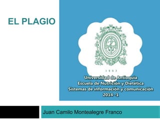 EL PLAGIO 
Juan Camilo Montealegre Franco 
 