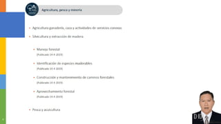 EL PLAN DE ESTUDIOS en la Educación Superior 2025.pptx