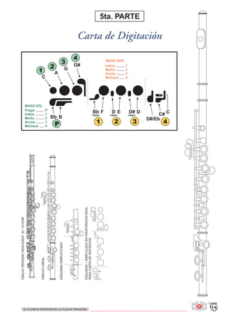 DIBUJOORIGINALREALIZADOEL13/10/80
DIBUJOLINEAL
ESQUEMASIMPLIFICADO
ESQUEMA+SIMPLICADOENPROPORCIONREAL
PARACARTADEDIGITACION
Bb B
Bb
G#
4
4
3
3
2
2
1
1P
D
C
A
F
G
ED
TRINOTRINO
D# C# C
TRINO
MANO IZQ.
Pulgar
Indice
Medio
Anular
Meñique
P
1
2
3
4
MANO DER.
Indice
Medio
Anular
Meñique
1
2
3
4
D#/Eb
Carta de Digitación
5ta. PARTE
14EL PLANETA INTERIOR DE LA FLAUTA TRAVERSA
 