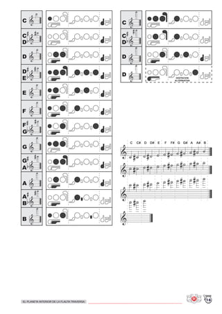 C
C
D
D
D
E
E
F
F
G
B
G
A
G
A
A
B
C
D
D
C
D
DIGITACION
ALTERNATIVA
C C# D D# E F F# G G# A A# B
16EL PLANETA INTERIOR DE LA FLAUTA TRAVERSA
 