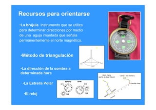 Recursos para orientarse
•La brújula. Instrumento que se utiliza
para determinar direcciones por medio
de una aguja imantada que señala
permanentemente el norte magnético.
•Método de triangulación
•La dirección de la sombra a
determinada hora
•La Estrella Polar
•El reloj
 