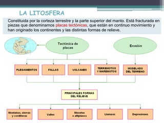 LA LITOSFERA 
Constituida por la corteza terrestre y la parte superior del manto. Está fracturada en 
piezas que denominamos placas tectónicas, que están en continuo movimiento y 
han originado los continentes y las distintas formas de relieve. 
 