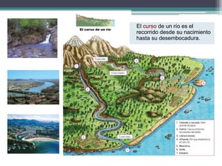 El curso de un río es el 
recorrido desde su nacimiento 
hasta su desembocadura. 
 