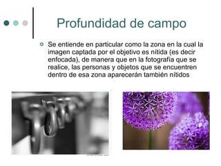 Profundidad de campo Se entiende en particular como la zona en la cual la imagen captada por el objetivo es nítida (es decir enfocada), de manera que en la fotografía que se realice, las personas y objetos que se encuentren dentro de esa zona aparecerán también nítidos  