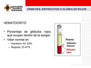 HEMATIES- ERITROCITOS O GLÓBULOS ROJOS




HEMATOCRITO

• Porcentaje de glóbulos rojos
  que ocupan dentro de la sangre
• Valor normal en
   – Hombres: 42- 52%
   – Mujeres: 37-47%
 