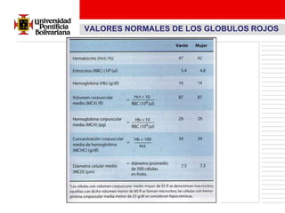 VALORES NORMALES DE LOS GLOBULOS ROJOS
 