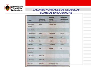 VALORES NORMALES DE GLOBULOS
    BLANCOS EN LA SANGRE
 