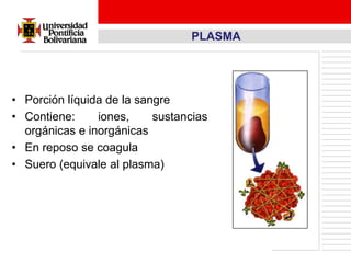 PLASMA




• Porción líquida de la sangre
• Contiene:     iones,     sustancias
  orgánicas e inorgánicas
• En reposo se coagula
• Suero (equivale al plasma)
 