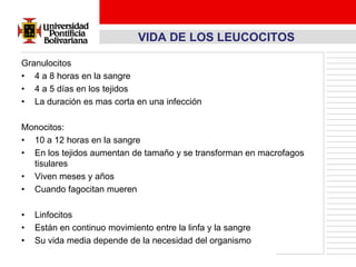 VIDA DE LOS LEUCOCITOS

Granulocitos
• 4 a 8 horas en la sangre
• 4 a 5 días en los tejidos
• La duración es mas corta en una infección

Monocitos:
• 10 a 12 horas en la sangre
• En los tejidos aumentan de tamaño y se transforman en macrofagos
  tisulares
• Viven meses y años
• Cuando fagocitan mueren

•   Linfocitos
•   Están en continuo movimiento entre la linfa y la sangre
•   Su vida media depende de la necesidad del organismo
 