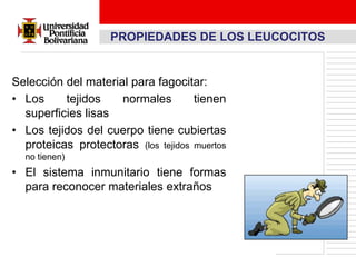 PROPIEDADES DE LOS LEUCOCITOS


Selección del material para fagocitar:
• Los     tejidos    normales        tienen
  superficies lisas
• Los tejidos del cuerpo tiene cubiertas
  proteicas protectoras (los tejidos muertos
  no tienen)
• El sistema inmunitario tiene formas
  para reconocer materiales extraños
 