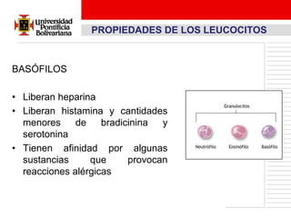 PROPIEDADES DE LOS LEUCOCITOS



BASÓFILOS

• Liberan heparina
• Liberan histamina y cantidades
  menores     de    bradicinina  y
  serotonina
• Tienen afinidad por algunas
  sustancias     que      provocan
  reacciones alérgicas
 