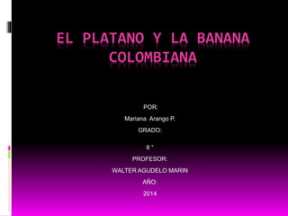 EL PLATANO Y LA BANANA 
COLOMBIANA 
POR: 
Mariana Arango P. 
GRADO: 
8 ° 
PROFESOR: 
WALTER AGUDELO MARIN 
AÑO: 
2014 
 