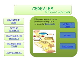 CEREALES
                               EL PLATO DEL BIEN COMER



ALIMENTACION       Este grupo aporta la mayor
    SANA           parte de la energía que
                   se necesita diariamente      verduras y
                                                  frutas
   TIPOS DE
  NUTRIENTES

CLASIFICACION DE                                 cereales
   ALIMENTOS

 PLATO DEL BIEN
     COMER                                      leguminosas


ACTIVIDAD FISICA
 