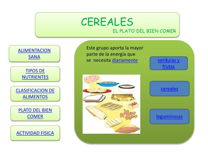 El Plato Del Bien Comer