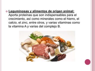  Leguminosas y alimentos de origen animal:
Aporta proteínas que son indispensables para el
crecimiento, así como minerales como el hierro, el
calcio, el zinc, entre otros, y varias vitaminas como
la vitamina A y varias del complejo B.
 