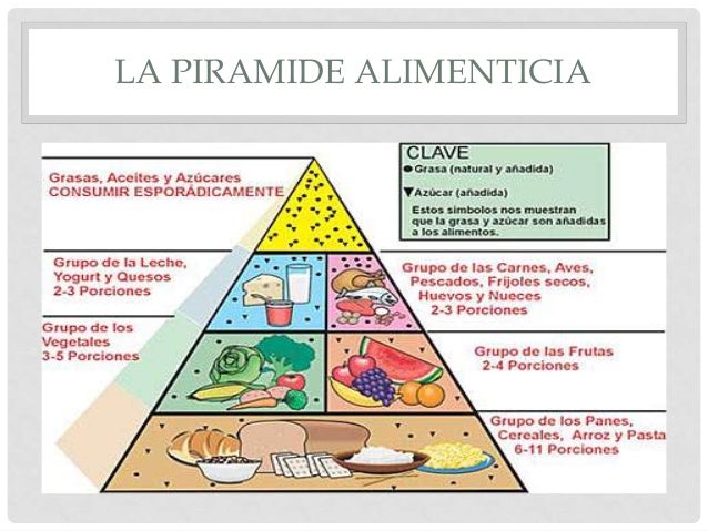 El plato del buen comer