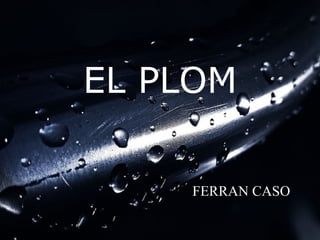 FERRAN CASO EL PLOM 