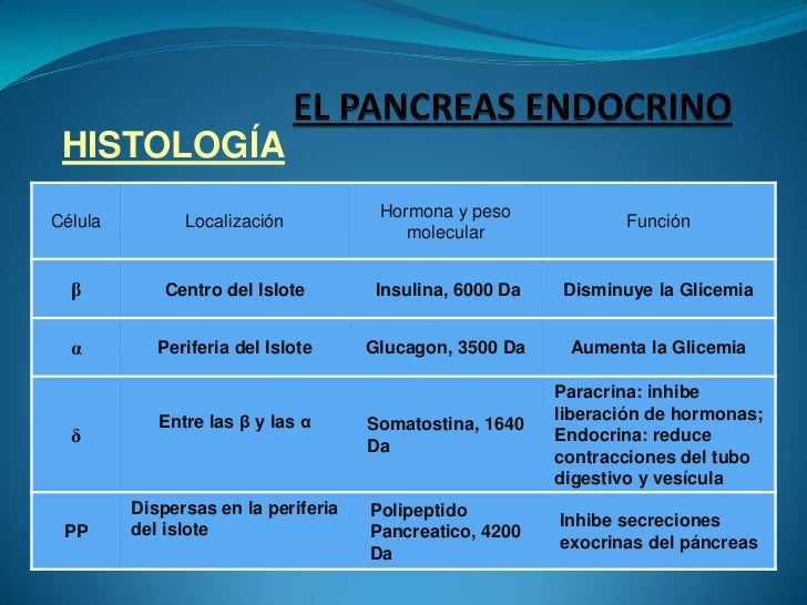 El páncreas endocrino 2011 El páncreas endocrino 2011