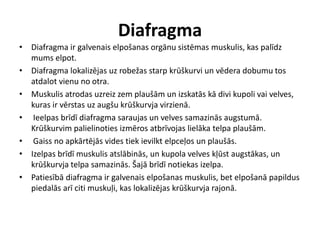 Diafragma
• Diafragma ir galvenais elpošanas orgānu sistēmas muskulis, kas palīdz
  mums elpot.
• Diafragma lokalizējas uz robežas starp krūškurvi un vēdera dobumu tos
  atdalot vienu no otra.
• Muskulis atrodas uzreiz zem plaušām un izskatās kā divi kupoli vai velves,
  kuras ir vērstas uz augšu krūškurvja virzienā.
• Ieelpas brīdī diafragma saraujas un velves samazinās augstumā.
  Krūškurvim palielinoties izmēros atbrīvojas lielāka telpa plaušām.
• Gaiss no apkārtējās vides tiek ievilkt elpceļos un plaušās.
• Izelpas brīdī muskulis atslābinās, un kupola velves kļūst augstākas, un
  krūškurvja telpa samazinās. Šajā brīdī notiekas izelpa.
• Patiesībā diafragma ir galvenais elpošanas muskulis, bet elpošanā papildus
  piedalās arī citi muskuļi, kas lokalizējas krūškurvja rajonā.
 