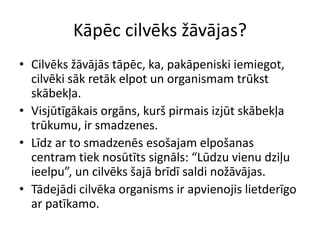 Kāpēc cilvēks žāvājas?
• Cilvēks žāvājās tāpēc, ka, pakāpeniski iemiegot,
  cilvēki sāk retāk elpot un organismam trūkst
  skābekļa.
• Visjūtīgākais orgāns, kurš pirmais izjūt skābekļa
  trūkumu, ir smadzenes.
• Līdz ar to smadzenēs esošajam elpošanas
  centram tiek nosūtīts signāls: “Lūdzu vienu dziļu
  ieelpu”, un cilvēks šajā brīdī saldi nožāvājas.
• Tādejādi cilvēka organisms ir apvienojis lietderīgo
  ar patīkamo.
 