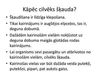 Kāpēc cilvēks šķauda?
• Šķaudīšana ir līdzīga klepošana.
• Tikai kairinājums ir augšējos elpceļos, tas ir,
  deguna dobumā.
• Dažādām kairinošām vielām nokļūstot uz
  deguna dobuma maigās gļotādas rodas
  kairinājums.
• Lai organisms sevi pasargātu un atbrīvotos no
  kairinošām vielām, cilvēks šķauda.
• Kairinošas vielas var būt dažāda veida putekļi,
  putekšņi, pipari, pat auksts gaiss.
 