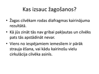 Kas izsauc žagošanos?
• Žagas cilvēkam rodas diafragmas kairinājuma
  rezultātā.
• Kā jūs zināt tās nav gribai pakļautas un cilvēks
  pats tās apstādināt nevar.
• Viens no iespējamiem iemesliem ir pārāk
  strauja ēšana, vai kādu kairinošu vielu
  cirkulācija cilvēka asinīs.
 
