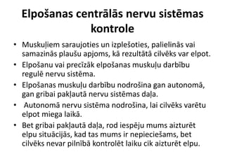 Elpošanas centrālās nervu sistēmas
              kontrole
• Muskuļiem saraujoties un izplešoties, palielinās vai
  samazinās plaušu apjoms, kā rezultātā cilvēks var elpot.
• Elpošanu vai precīzāk elpošanas muskuļu darbību
  regulē nervu sistēma.
• Elpošanas muskuļu darbību nodrošina gan autonomā,
  gan gribai pakļautā nervu sistēmas daļa.
• Autonomā nervu sistēma nodrošina, lai cilvēks varētu
  elpot miega laikā.
• Bet gribai pakļautā daļa, rod iespēju mums aizturēt
  elpu situācijās, kad tas mums ir nepieciešams, bet
  cilvēks nevar pilnībā kontrolēt laiku cik aizturēt elpu.
 