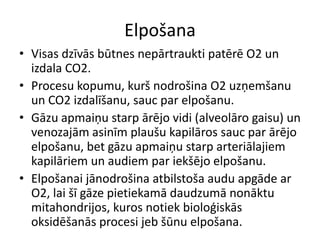 Elpošana
• Visas dzīvās būtnes nepārtraukti patērē O2 un
  izdala CO2.
• Procesu kopumu, kurš nodrošina O2 uzņemšanu
  un CO2 izdalīšanu, sauc par elpošanu.
• Gāzu apmaiņu starp ārējo vidi (alveolāro gaisu) un
  venozajām asinīm plaušu kapilāros sauc par ārējo
  elpošanu, bet gāzu apmaiņu starp arteriālajiem
  kapilāriem un audiem par iekšējo elpošanu.
• Elpošanai jānodrošina atbilstoša audu apgāde ar
  O2, lai šī gāze pietiekamā daudzumā nonāktu
  mitahondrijos, kuros notiek bioloģiskās
  oksidēšanās procesi jeb šūnu elpošana.
 