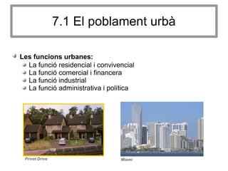7.1 El poblament urbà
Les funcions urbanes:
La funció residencial i convivencial
La funció comercial i financera
La funció industrial
La funció administrativa i política
MiamiPrivet Drive
 