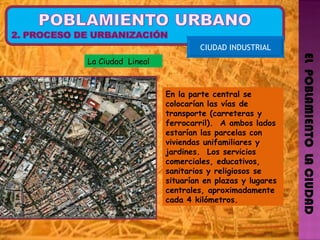 EL  POBLAMIENTO  LA CIUDAD CIUDAD INDUSTRIAL La Ciudad  Lineal En la parte central se colocarían las vías de transporte (carreteras y ferrocarril).  A ambos lados estarían las parcelas con viviendas unifamiliares y jardines.  Los servicios comerciales, educativos, sanitarios y religiosos se situarían en plazas y lugares centrales, aproximadamente cada 4 kilómetros.   