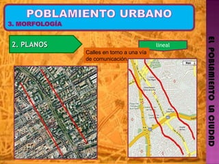 EL  POBLAMIENTO  LA CIUDAD 2. PLANOS  lineal Calles en torno a  una vía de comunicación. 